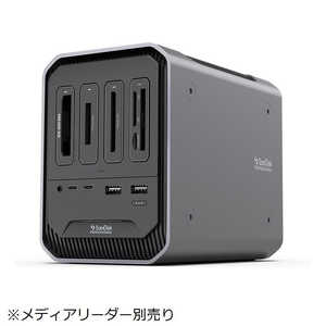 SANDISKPROFESSIONAL プロフェッショナル向け 4ベイメディアリーダー対応スロット搭載 ドッキングステーション【PRO-DOCK 4】 SDPD14F-0000-SBAAD
