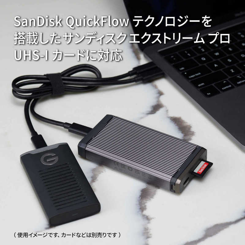 SANDISKPROFESSIONAL SANDISKPROFESSIONAL Professional PRO-DOCK対応 SD/microSD対応カードリーダー PRO-READER SD and microSD SDPR5A8-0000-GBAND SDPR5A8-0000-GBAND