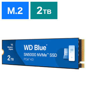 WESTERN DIGITAL 2TB /M.2 WDS200T4B0E