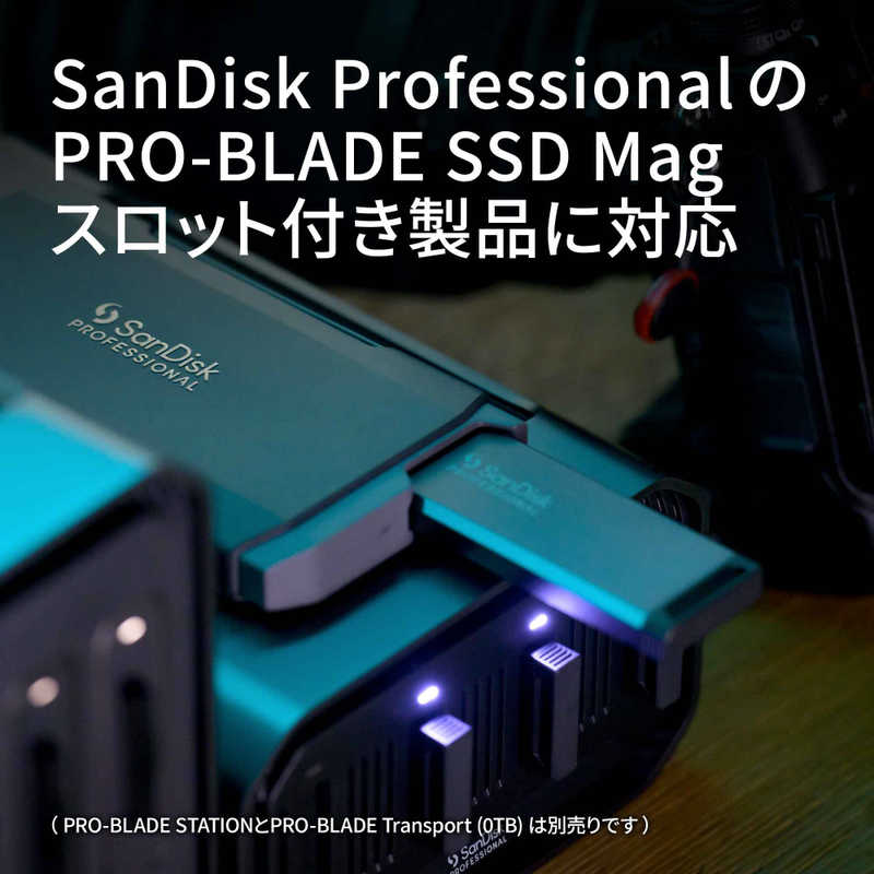 SANDISKPROFESSIONAL SANDISKPROFESSIONAL PRO-BLADEシリーズ NVMeモジュラーSSD PRO-BLADE SSD Mag「受注生産品」 [1TB] SDPM1NS-001T-GBAND SDPM1NS-001T-GBAND