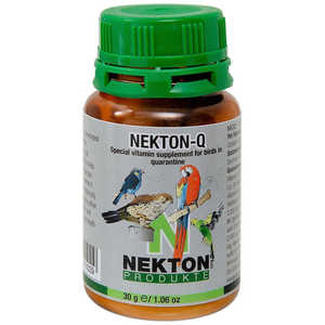 �ͥ��ȥ� Q 30g 010113