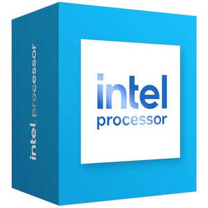 インテル 〔CPU〕Intel 300 Processor BX80715300