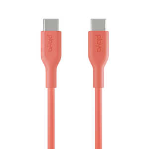 PLAYA USB-C ⇔ USB-Cケーブル [充電 /転送 /1.0m] コーラル PMLC2003YZ1M