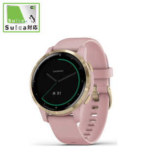 GARMIN vivoactive 4S Dust Rose / Light Gold 0100217237