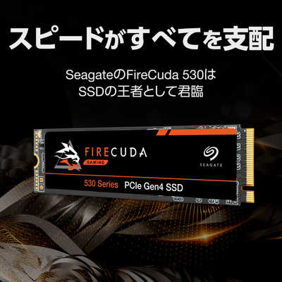 SEAGATE M.2 NVMe 内蔵SSD 1TB PCIe Gen4x4 Firecuda 530シリーズ
