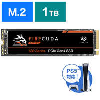 内蔵型SSD seagate FireCuda 530 NVMe SSD 1TB SSD Seagate Firecuda 530 Heatsink 1TB M.2 2280 NVMe 7300MB/s