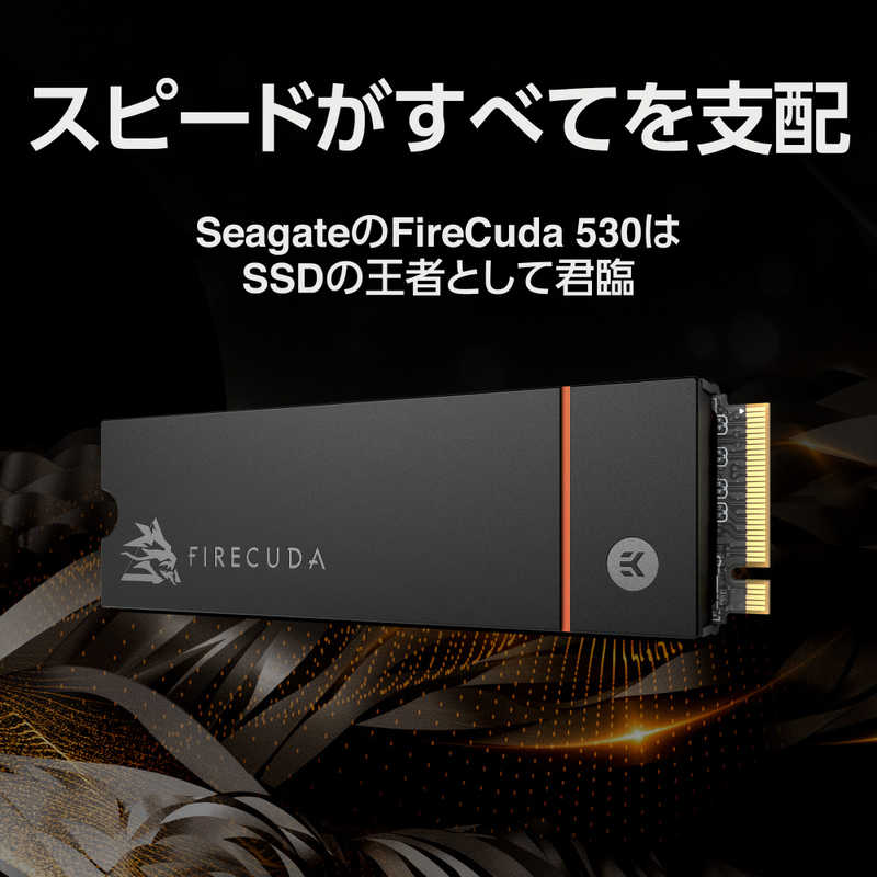 SEAGATE SEAGATE Seagate FireCuda 530 M.2 ヒートシンク付き 500GB PCIe Gen4x4 SSD｢バルク品｣ ZP500GM3A023 ZP500GM3A023