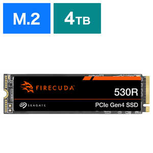 SEAGATE ¢SSD PCI-Express³ 4TB /M.2 ZP4000GM3A063