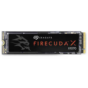 FireCuda X1070 ZP4000GS3A001