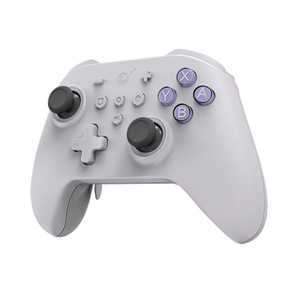 GULIKIT ゲームパッド KK3 Max レトロ NS39RETRO GULIKIT ゲームパッド KK3 Max レトロ NS39RETRO