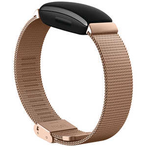 FITBIT Inspire 2 交換用メタルメッシュバンド Rose Gold Fitbit ローズゴールド ローズゴールド FB177MMRG