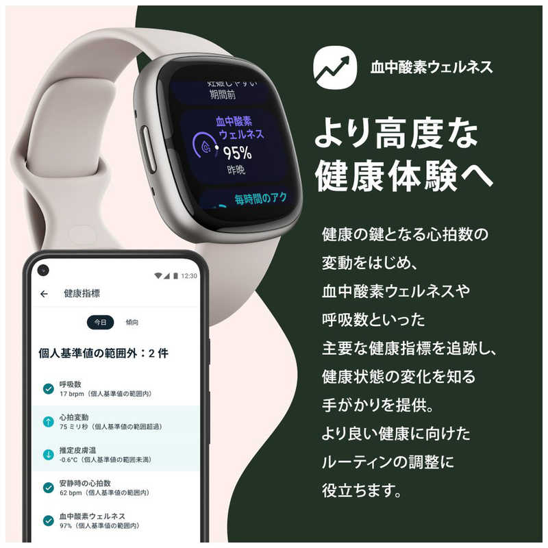 FITBIT FITBIT スマートウォッチ Fitbit Sense 2 Shadow Grey FB521BKGBFRCJK FB521BKGBFRCJK