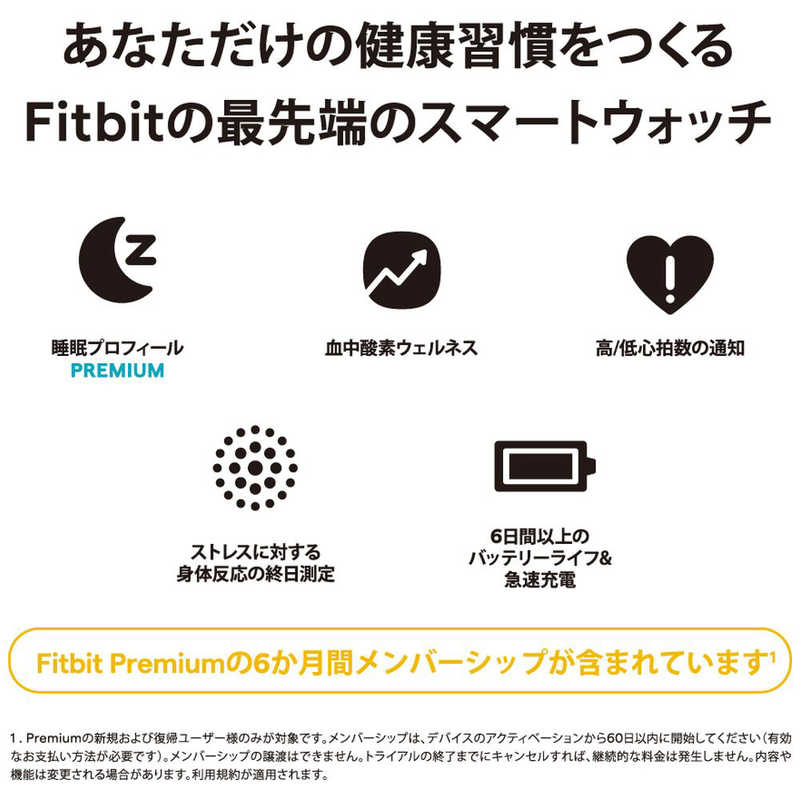 FITBIT FITBIT スマートウォッチ Fitbit Sense 2 Lunar White FB521SRWTFRCJK FB521SRWTFRCJK