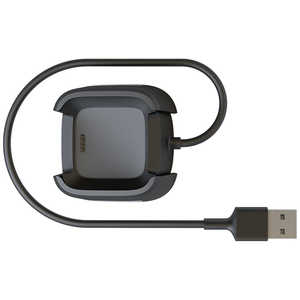 FITBIT Fitbit フィットビット Versa 専用 純正 USB 充電ケーブル FB166RCC