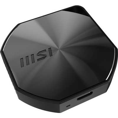 MSI DATAMAG 20Gbps 2TB ［2TB /ポータブル型］ DATAMAG20Gbps2TB の
