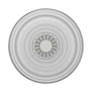 POPSOCKETS PopGrip Plant Faded Stone 805500