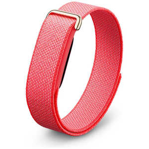 FITBIT Google Fitbit Air �o���h / Polished Champagne Gold �X�e�����X �o�b�N�� Berry GA11016-AU