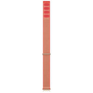 FITBIT Google Fitbit Edge �p�t�H�[�}���X ���[�v�o���h L�T�C�Y Canyon GA13126-WW