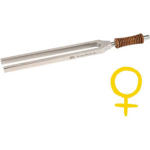 MEINLSONICENERGY `[jOtH[N MEINL TTF-V