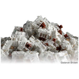 GLORIOUS Glorious GATERON Switches 120 x Gateron Brown GAT-BROWN GLORIOUS Glorious GATERON Switches 120 x Gateron Brown GAT-BROWN