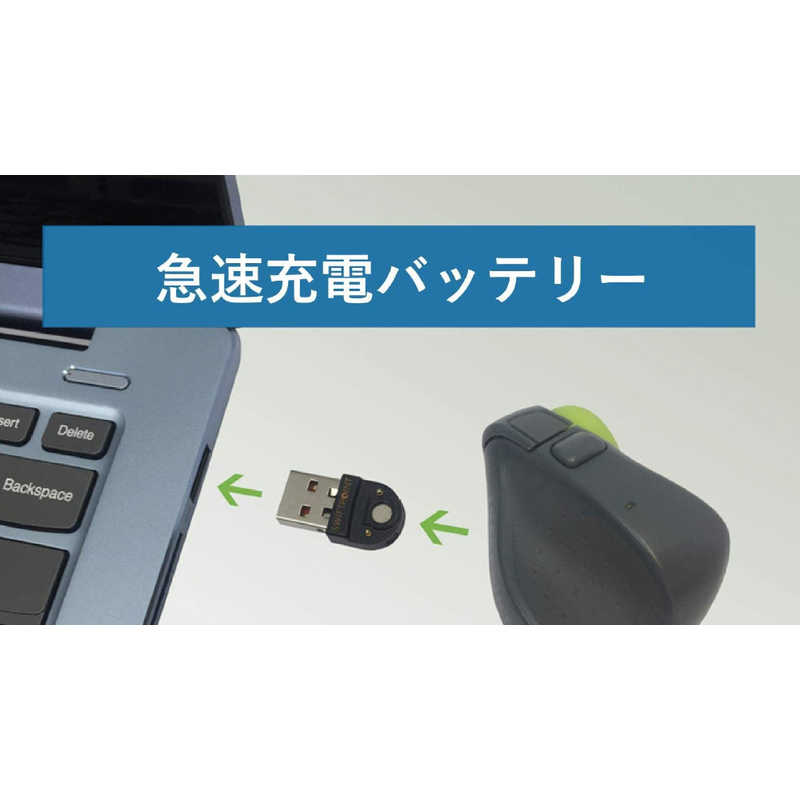 SWIFTPOINT SWIFTPOINT マウス TRACPOINT グレー/ライムグリーン [Bluetooth･USB] SM601 SM601