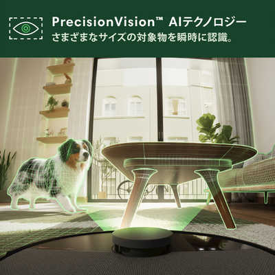 iRobot アイロボット ルンバ Plus 505 Combo ロボット＋AutoWash