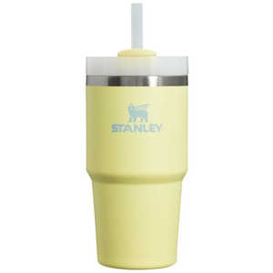 STANLEY スタンレー アウトドア用品 ボトル H2.0真空スリムクエンチャー(0.6L) ポメロ 1010826317 STANLEY スタンレー アウトドア用品 ボトル H2.0真空スリムクエンチャー(0.6L) ポメロ 1010826317