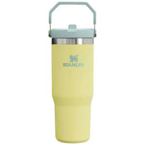 STANLEY スタンレー アウトドア用品 ボトル アイスフローフリップストロー真空タンブラー 2.0(0.88L) ポメロ 1012043206 STANLEY スタンレー アウトドア用品 ボトル アイスフローフリップストロー真空タンブラー 2.0(0.88L) ポメロ 1012043206