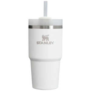 STANLEY スタンレー アウトドア用品 ボトル H2.0真空スリムクエンチャー(0.6L) フロスト 1010826261 STANLEY スタンレー アウトドア用品 ボトル H2.0真空スリムクエンチャー(0.6L) フロスト 1010826261