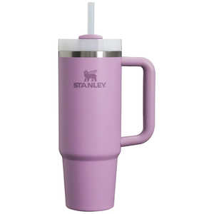 STANLEY スタンレー アウトドア用品 ボトル H2.0 真空スリムクエンチャー 0.88L ライラック 1010827683 STANLEY スタンレー アウトドア用品 ボトル H2.0 真空スリムクエンチャー 0.88L ライラック 1010827683