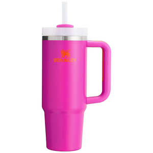 STANLEY スタンレー アウトドア用品 ボトル H2.0 真空スリムクエンチャー 0.88L Vivid Violet 10-10827 STANLEY スタンレー アウトドア用品 ボトル H2.0 真空スリムクエンチャー 0.88L Vivid Violet 10-10827