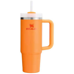 STANLEY クエンチャー H2.0 フローステート 真空断熱タンブラー(30OZ/約0.89L) Gロッド 30OZ0.89L