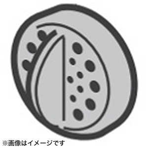 ��� TOSHIBA ���Ӵ���Ĵ���ۥե��륿�� 3200D710