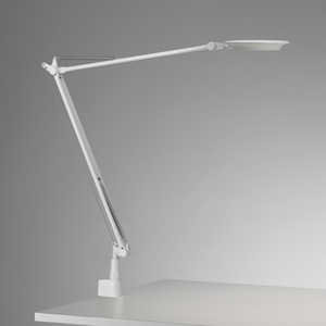 ޥ ׼ LED饤 Rebio(ӥ) ۥ磻 LED /ŵ忧 555REBIO/WH