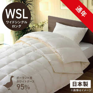 эH[ izCgO[X_E95 ()ӂƂ PR-410AB2(2킹m|+|n/ChVOO/170×230cm)yHѕzcz