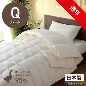 эH[ izCgO[X_E95 ()ӂƂ PR-410AB2(2킹m|+|n/NB[TCY/210×210cm)yHѕzcz