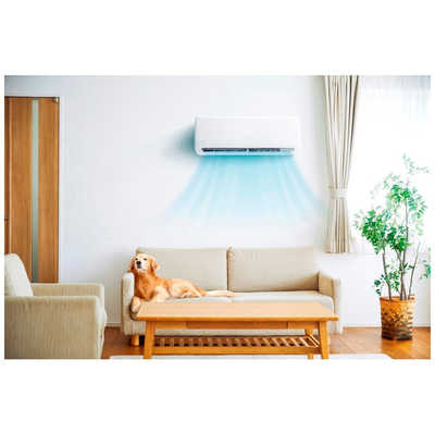 （掲載終了間近）アイリスオーヤマ　ルームエアコン　2021年製　airwill GVシリーズ　室外機 IAR2204GV　主に6畳 アイリスオーヤマ IRIS OHYAMA エアコン airwill エアウィル GV