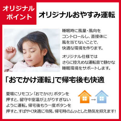 ダイキン DAIKIN エアコン EBKシリーズ おもに14畳用 (ビックカメラ