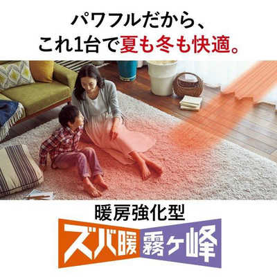 三菱 MITSUBISHI エアコン ズバ暖 霧ヶ峰 ZDシリｰズ 極暖・寒冷地仕様 