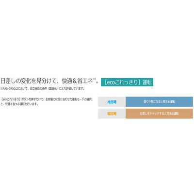 日立 HITACHI エアコン 白くまくん Gシリｰズ おもに6畳用 RAS-G220L-W