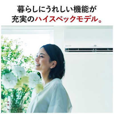 三菱 MITSUBISHI エアコン 霧ヶ峰 Xシリーズ おもに6畳用 MSZ-X2222D-W