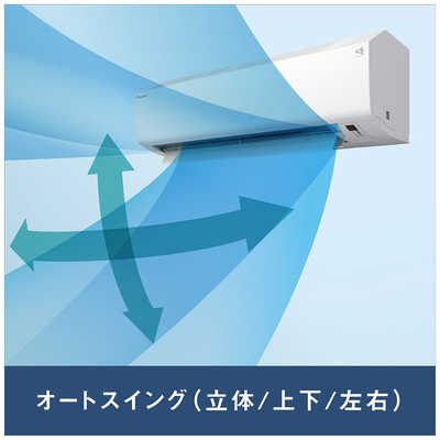 ダイキン DAIKIN エアコン CBKシリーズ おもに12畳用(ビックカメラ 