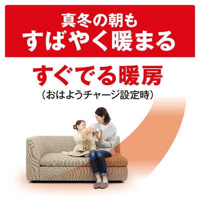 パナソニック Panasonic エアコン Eolia エオリア DJRシリーズ おもに6