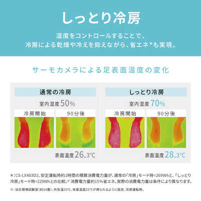 パナソニック Panasonic エアコン Eolia エオリア LXシリーズ おもに6