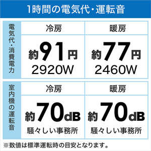ダイキン DAIKIN エアコン うるさらX RBKシリーズ おもに26畳用 (ビックカメラグループオリジナル) AN803ARBKP-W ホワイト ダイキン DAIKIN エアコン うるさらX RBKシリーズ おもに26畳用 (ビックカメラグループオリジナル) AN803ARBKP-W ホワイト