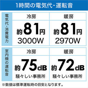ダイキン DAIKIN エアコン うるさらX RBKシリーズ おもに29畳用 (ビックカメラグループオリジナル) AN903ARBKP-W ホワイト ダイキン DAIKIN エアコン うるさらX RBKシリーズ おもに29畳用 (ビックカメラグループオリジナル) AN903ARBKP-W ホワイト