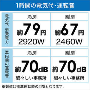 ダイキン DAIKIN エアコン ABKシリーズ おもに26畳用 (ビックカメラグループオリジナル) AN803AABKP-W ホワイト