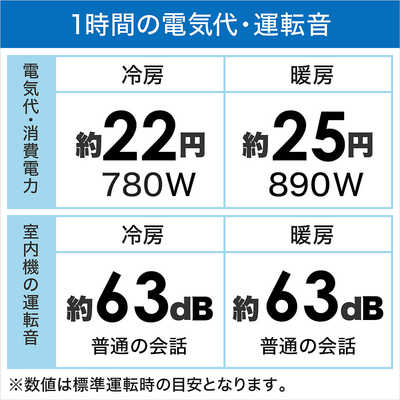 ダイキン DAIKIN エアコン EBKシリーズ おもに10畳用 (ビックカメラ