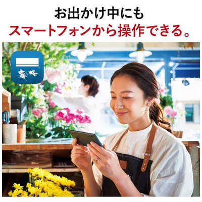 三菱 MITSUBISHI エアコン 霧ヶ峰 BKRシリーズ おもに6畳用
