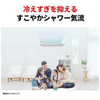 シャープ SHARP エアコン プラズマクラスター搭載 S-DGシリーズ おもに 